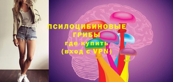 PSILOCYBIN Балабаново