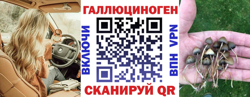 Галлюциногенные грибы GOLDEN TEACHER  купить  сайты  Белозерск 